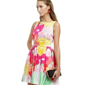 Lilly Pulitzer Aleesa Dress Lavish Lillys Placed New with Tag Size 10